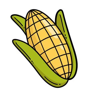 Vector corn cob isolated on a white background. sweet golden corn. Stock Illustration