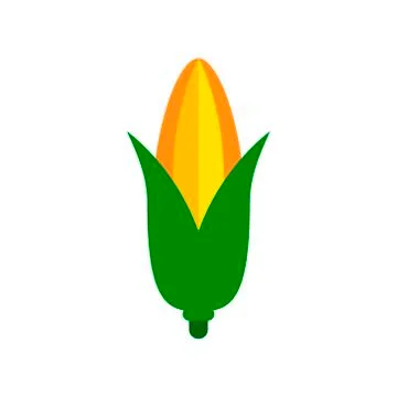 Vector corn icon, symbol of healthy food illustration - food sign isolated on Stock Illustration