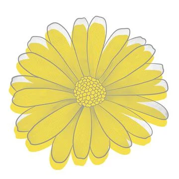Vector cortular decorative flower. Yellow element on a white background Stock Illustration