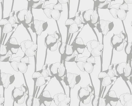 Vector cotton flower vector hand drawn seamless pattern. Stock Illustration