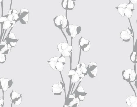 Vector cotton flower vector hand drawn seamless pattern. Stock Illustration