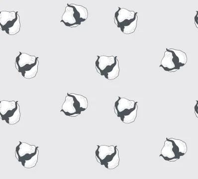 Vector cotton flower vector hand drawn seamless pattern. Stock Illustration