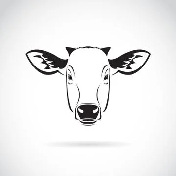 Vector of a cow head on white background. Farm Animal. Stock Illustration