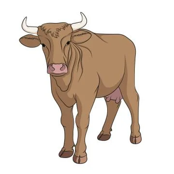 Vector cow isolated on a white. Stock Illustration