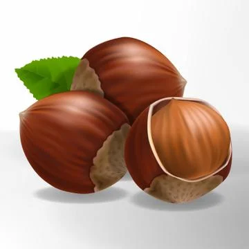 Vector Cracked Hazelnut 3D Illustration with leaf Stock Illustration