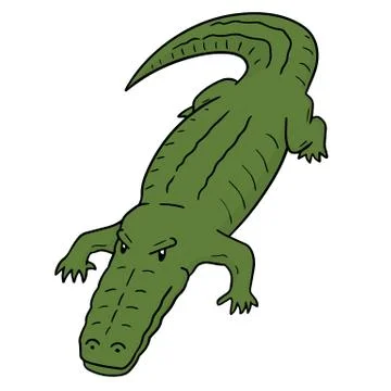 Vector of crocodile Stock Illustration