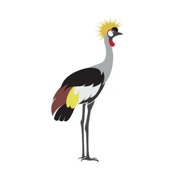 Vector of crowned crane bird design(African Crowned Crane)) on white backgrou Stock Illustration