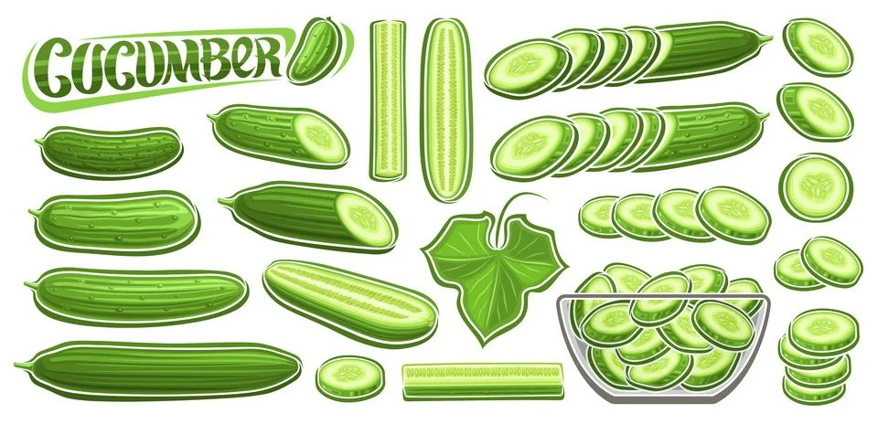 Vector Cucumber Set Stock Illustration