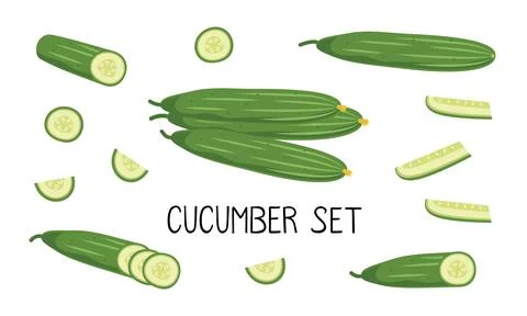 Vector cucumber set with whole, sliced, and chopped green vegetables Stock Illustration
