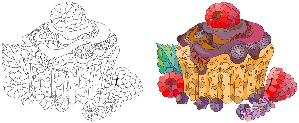 Vector cupcake with chocolate and raspberry for coloring Stock Illustration