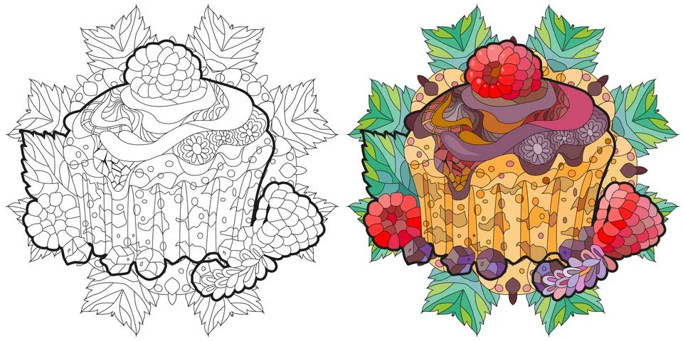 Vector cupcake with chocolate and raspberry for coloring Stock Illustration