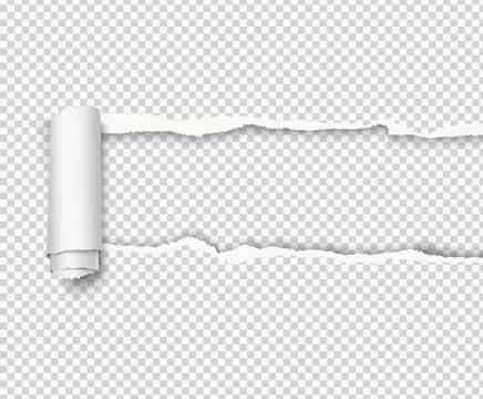 Vector curled torn paper on transparent background. Stock Illustration