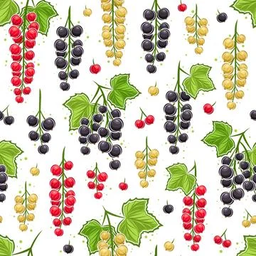 Vector Currant Branches seamless pattern Stock Illustration