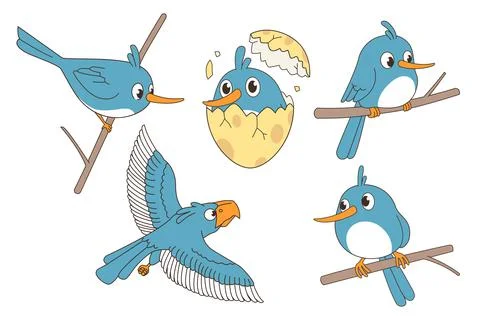 Vector of cute bird set. Stock Illustration