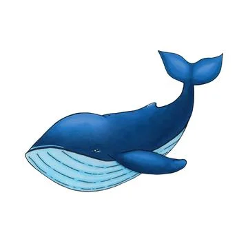 Vector cute cartoon blue whale isolated on white background Stock Illustration