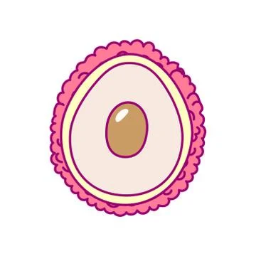 Vector cute drawn fruit clipart Stock Illustration