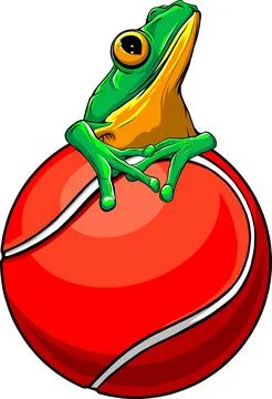 Vector Cute frog playing tennis. Animal cartoon concept isolated Stock Illustration