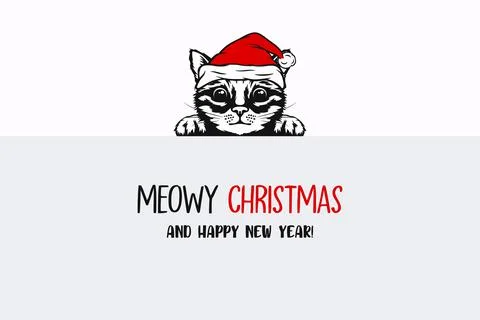 Cute Cat Vector Print Design. Meow Lettering Text. Kitten Face