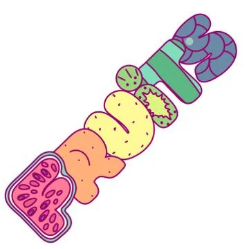 Vector cute handdrawn fruits text Stock Illustration