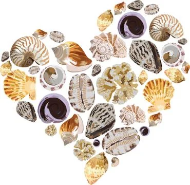 Vector cute heart shape collection of shells Stock Illustration