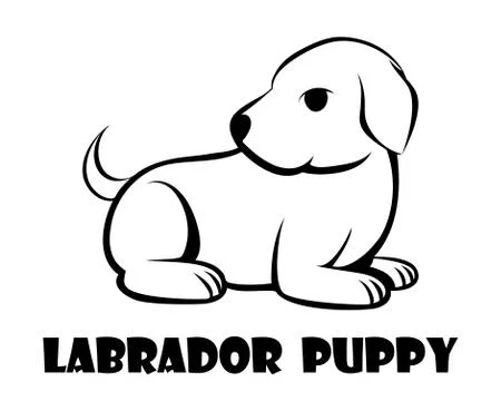 Vector of a cute labrador puppy eps 10 Illustrazione stock