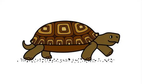 Vector cute land tortoise with patterned shell, side view; isolated on a whit Illustrazione stock