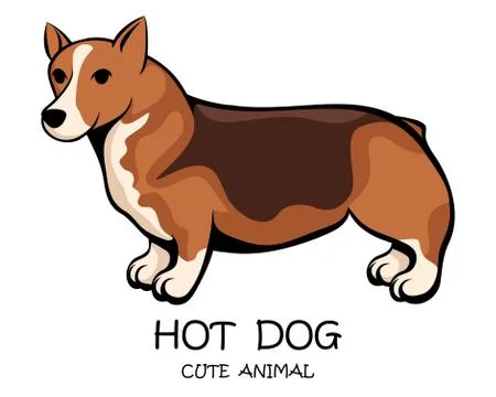 Vector of cute long and short dog eps 10. Stock-Illustration