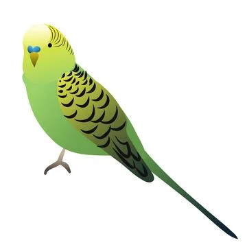 Vector cute parrot green with yellow coloration Stock Illustration