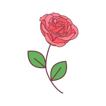 Vector cute single rose. pink rose with green leaves on a long green stem Illustrazione stock