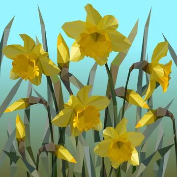 Vector of daffodil flowers isolated. Stock Illustration