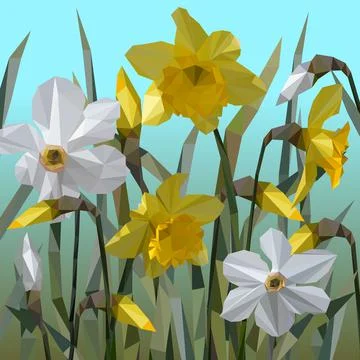 Vector of daffodil flowers isolated. Stock Illustration