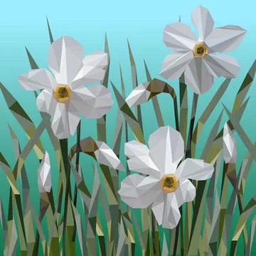 Vector of daffodil flowers isolated. Illustrazione stock