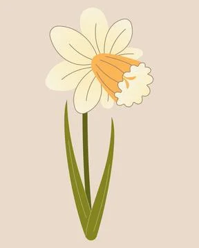 Vector Daffodil Spring Yellow Flower Mother's Day Stock Illustration