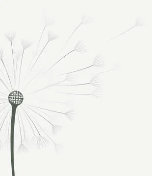 Vector dandelion flower Stock Illustration