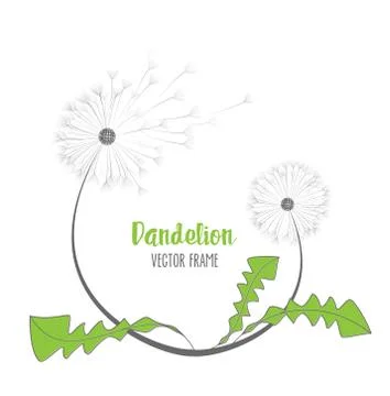 Vector dandelion flower Stock Illustration