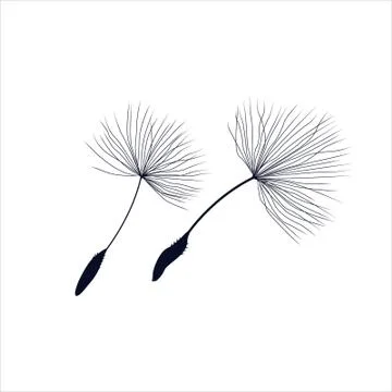 Vector dandelion flower for your ideas Stock Illustration