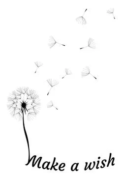 Vector Dandelion Make a Wish Stock Illustration