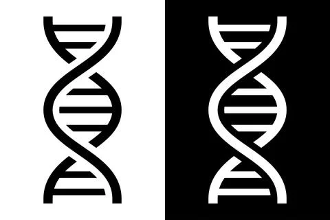 Vector dark black and white dna helix icon 스톡 일러스트