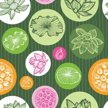 Vector dark green colourful lotus tropical flowers and water lily pads seed.. Stock Illustration