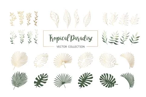 Vector dark olive green colored mesh design elements set isolated on white イラスト素材