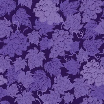 Vector dark purple monochrome grape vine illustration with leaves hand drawn  Stock Illustration
