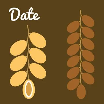 Vector dates Stock Illustration