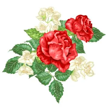 Vector decor element with jasmine and rose flowers Stock Illustration