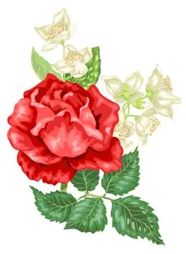 Vector decor element with jasmine and rose flowers Stock-Illustration