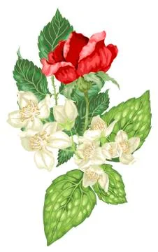 Vector decor element with jasmine and rose flowers Stock Illustration