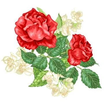 Vector decor element with jasmine and rose flowers Stock Illustration