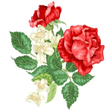 Vector decor element with jasmine and rose flowers Stock Illustration
