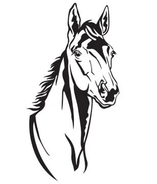 Vector decorative horse, part 2 Stock Illustration