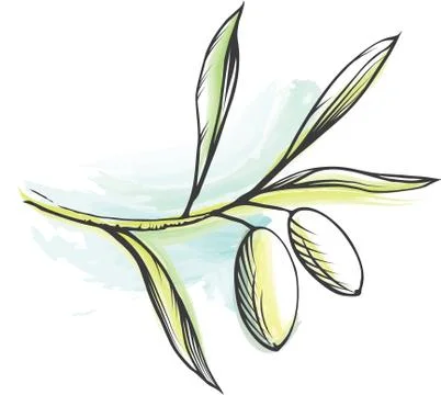 Vector decorative olive branch. Stock Illustration