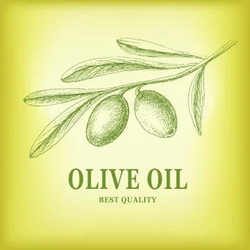 Vector decorative olive branch. Stock Illustration